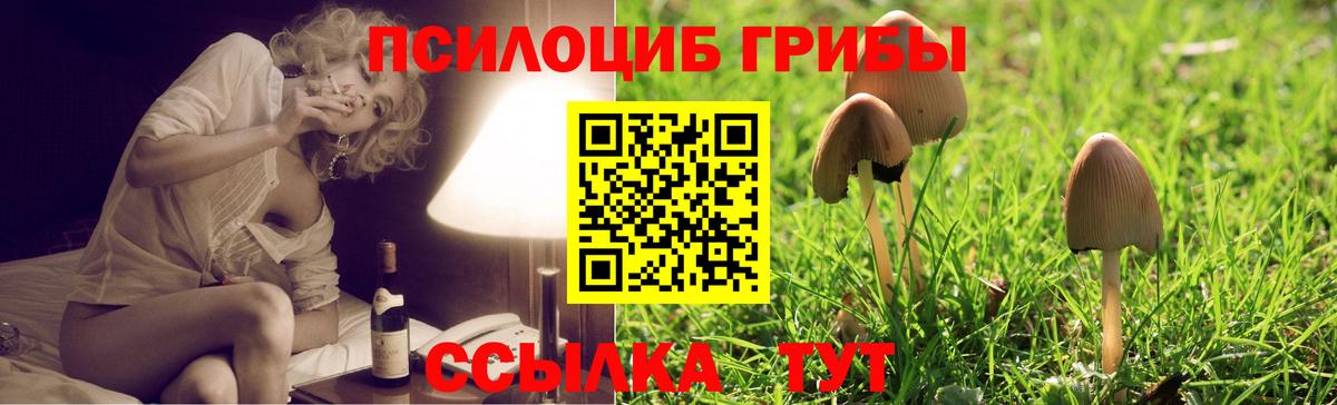 Кунгур  Галлюциногенные грибы MAGIC MUSHROOMS  Вход с VPN 